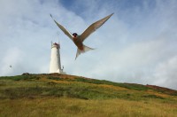 /album/island1/island-cervenec-2017-99-jpg/