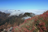 /album/madeira/img-0945-jpg1/