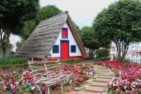 /album/madeira/img-2250-jpg1/